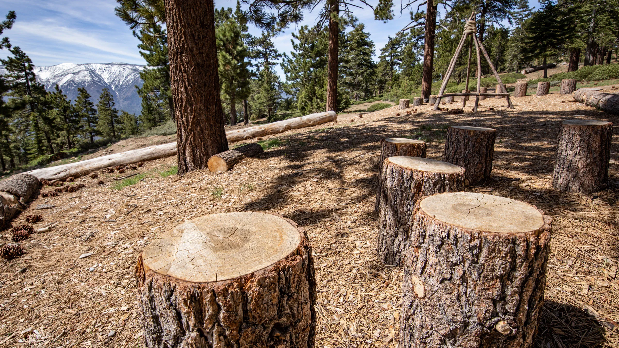 Tree stumps to sit on and a wooden teepee at the top of Snow Summit during the summertime.